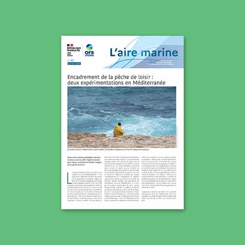  L'Aire marine n°61