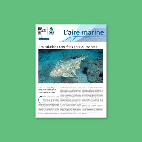 L'Aire marine n°62