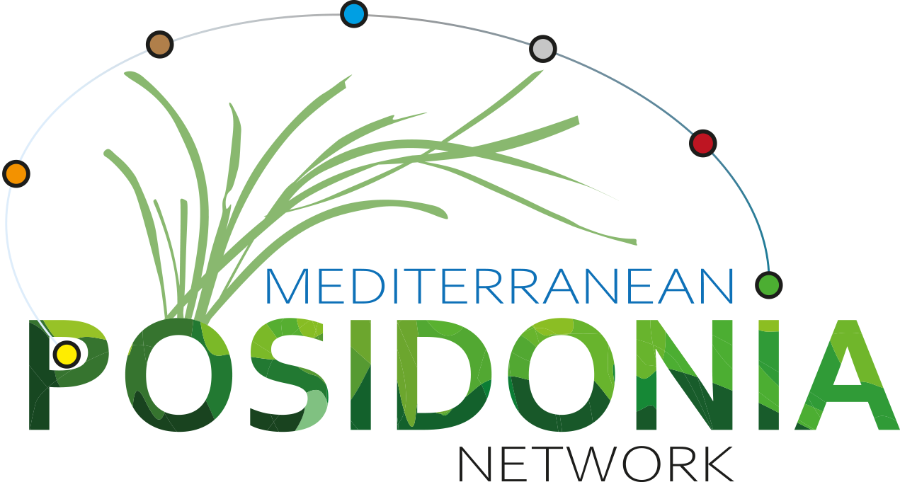 Lancement du réseau régional de protection de la Posidonie en Méditerranée