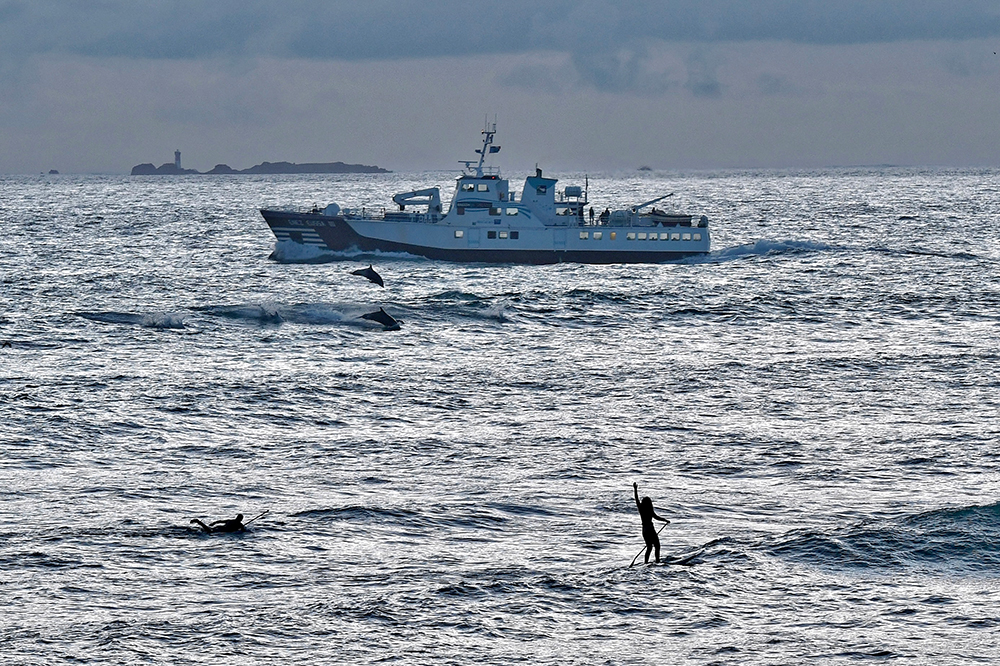 Deux sup-surfeurs et des dauphins qui suivent le bateau Enez Eussa III  dans le chenal ouest de Molène - Crédit : Frédéric DUBRANA