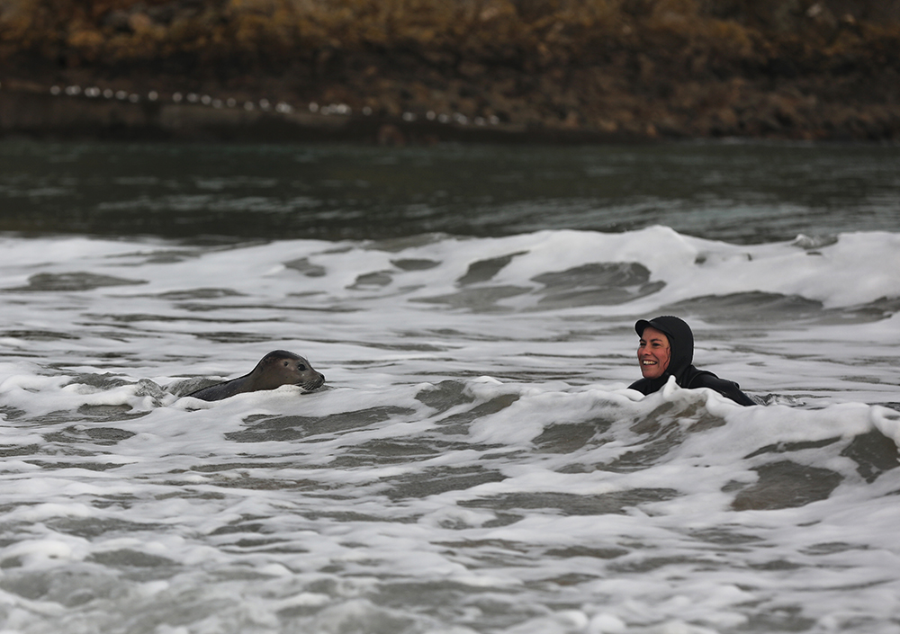 Rencontre entre une surfeuse et un phoque - Crédit : Yann Février