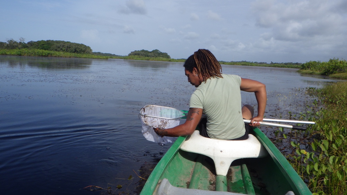 Inventaire des poissons d'eau douce en Guyane - Micro-projet TeMeUm porté par l'association SEPANGUY. Crédit photo : F. Veinante