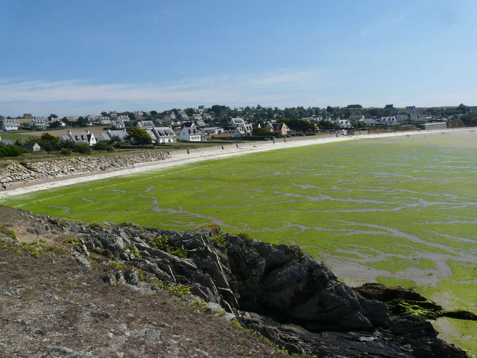 Sur les rivages, les algues vertes dopées par l’épandage de fertilisants se développent à outrance. Puis elles pourrissent. Il se dégage alors un gaz toxique, l’hydrogène sulfuré. Crédit photo : Yannis Turpin / OFB