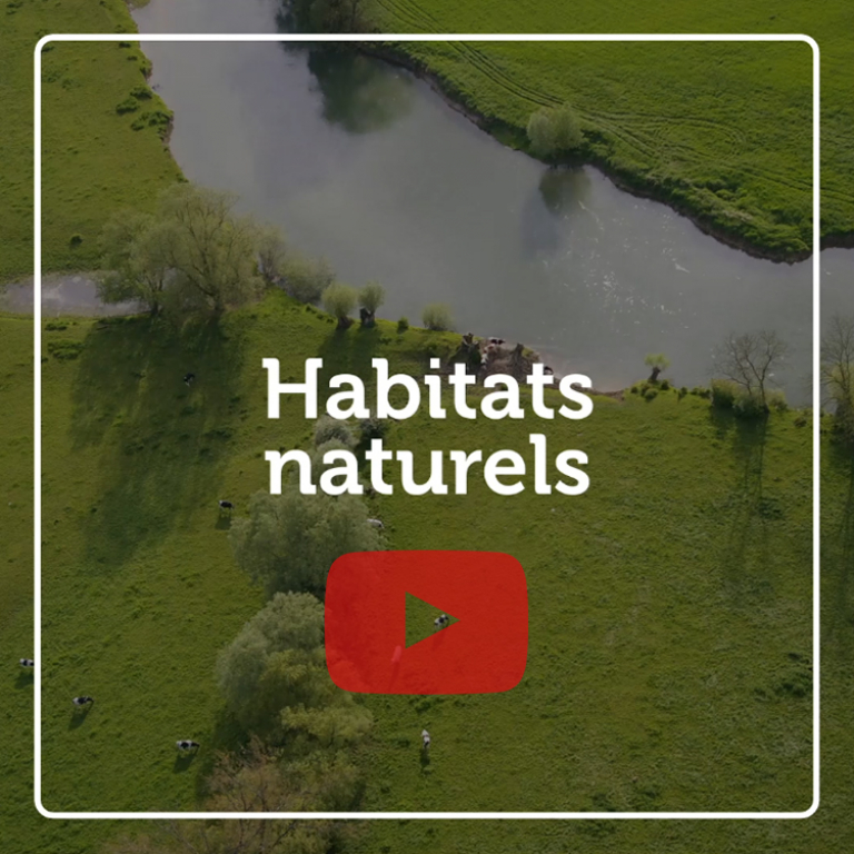 Indicateur vidéo - Habitats naturels