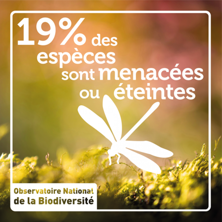 Indicateur 19% des espèces sont menacées ou éteintes - Olivier Debuf. Crédit photo : Pixabay License