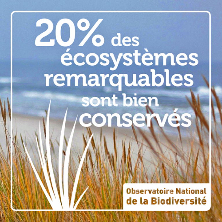 Indicateur 20% des écosystèmes remarquables sont bien conservés - Olivier Debuf. Crédit photo : Pixabay License