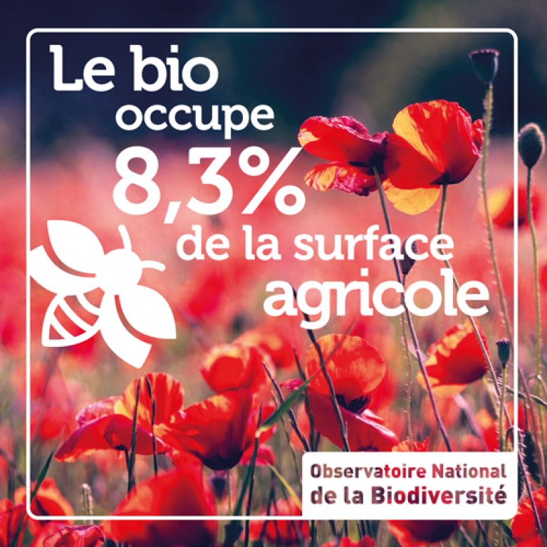 Indicateur Le bio occupe 8,3 % de la surface agricole - Olivier Debuf. Crédit photo : Pixabay License