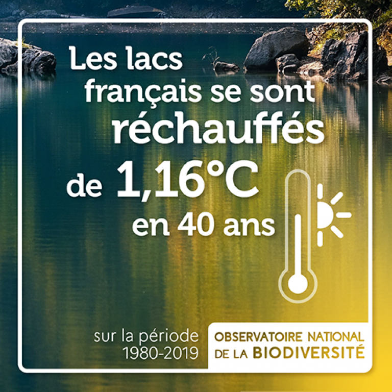 Les lacs français se sont réchauffés de 1,16°C en 40 ans