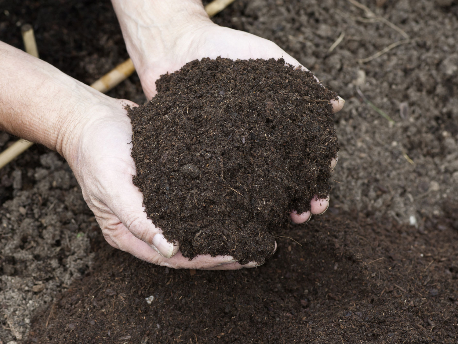 Qu'est-ce que le compost, à quoi ça sert, comment l'utiliser ?