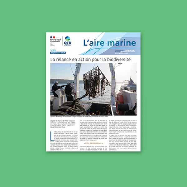 L'Aire marine n°53