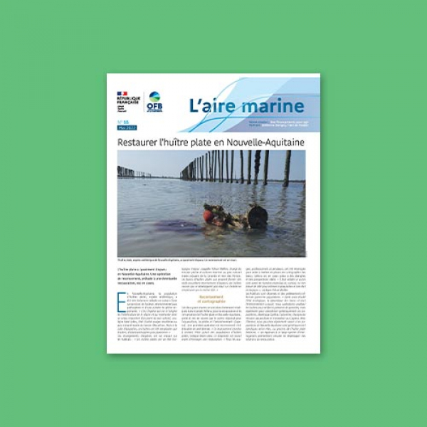 L'Aire marine n°55