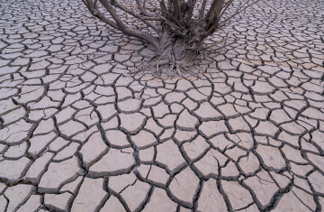 L’effet domino du changement climatique  Si la température augmente de 3 °C, 8 milliards de personnes seront exposées à des chaleurs extrêmes, 4 milliards au manque d’eau, 742 millions à un risque de pénurie d'énergie, 2 milliards seront confrontées à de grosses difficultés agricoles, et plus d'1 milliard à des dégradations irréversibles de leur lieu de vie. (Source IPBES). Crédit :  Juan-Carlos Muñoz / Biosphoto 