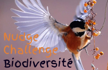 Nudge Challenge 2021 « Biodiversité » – Prix du public : votez !