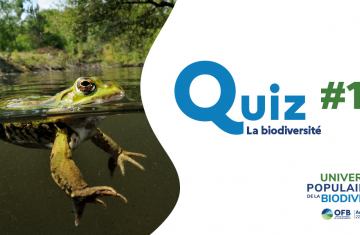 Quiz Biodiversité