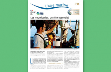 L'aire marine n°50