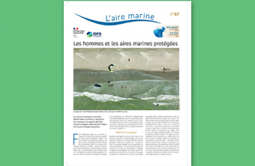 L'aire marine n°47