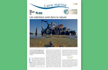 L'aire marine n°49