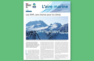 L'Aire marine n°54