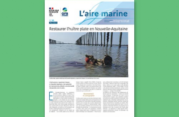 L'Aire marine n°55