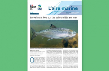 L'Aire marine n°57