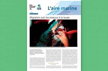 L'Aire marine n°58