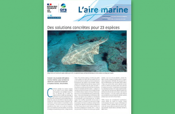 L'Aire marine n°62