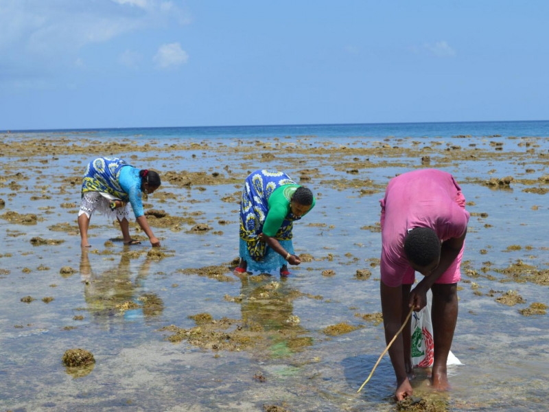 Villageois à la pêche sur le platié de Bouéni à Mayotte. Crédit : Fanny Cautain / OFB