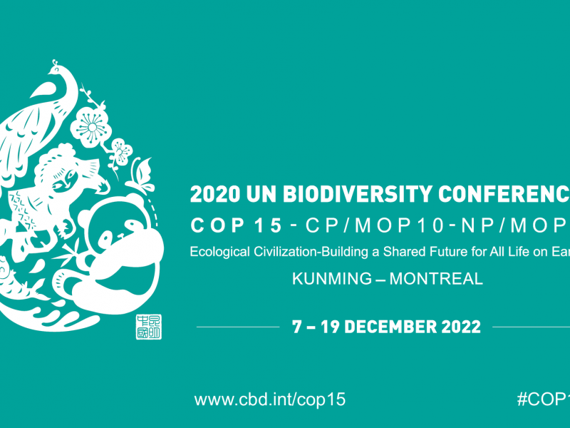 D -1 before the COP15 of the Convention on Biological Diversity