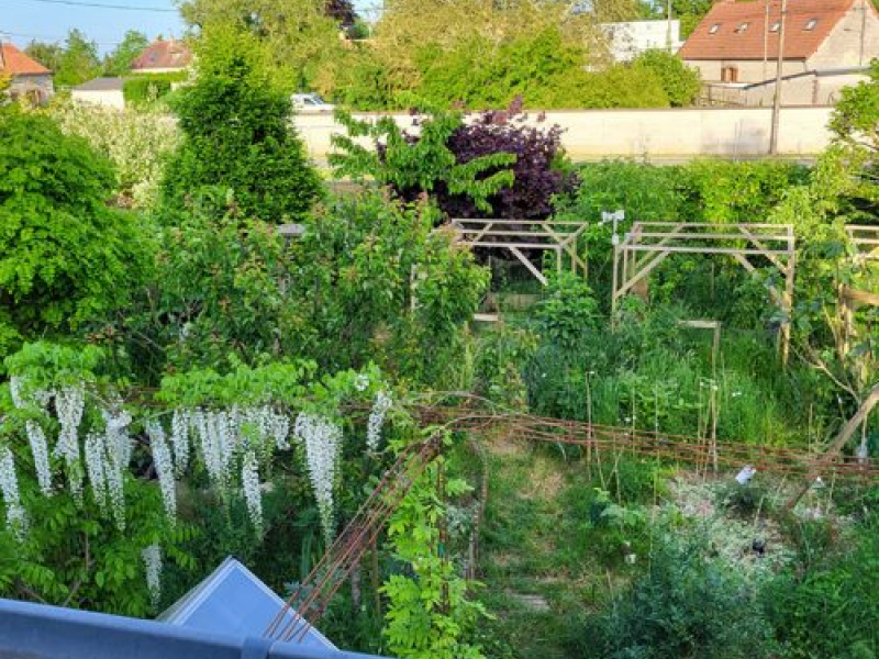 Jardin de Tiphaine Rofidal. Crédit photo : Tiphaine Rofidal