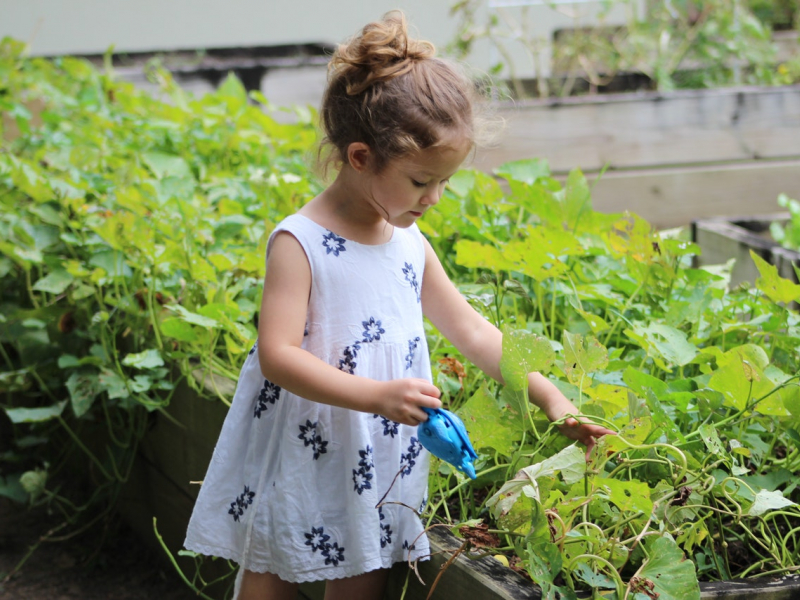 Petite fille en train de jardiner (image d'illustration). Crédit photo : Maggie My Photo Album / Pexels