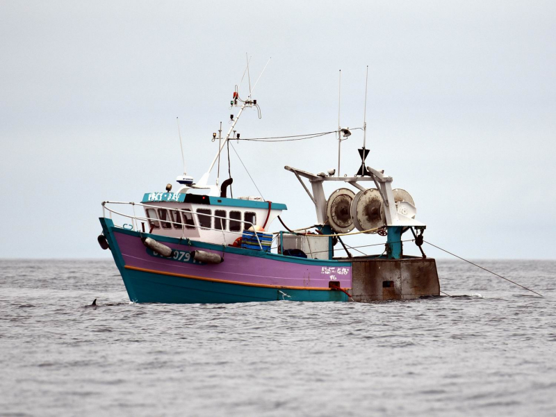 Navire de pêche avec un dauphin commun à l’étrave. Crédit photo : Benjamin Guichard / OFB