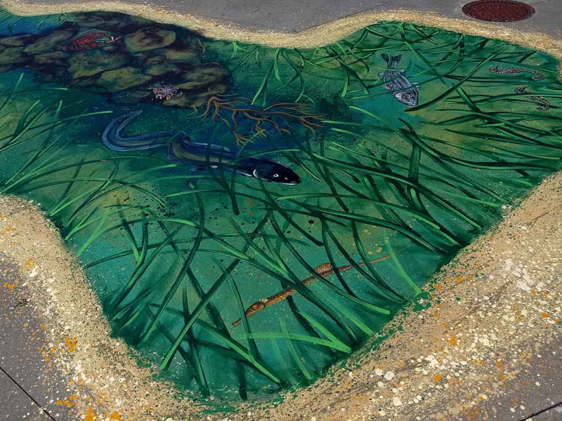 Une fresque au sol devant la capitainerie du port du Crouesty invite les plaisanciers à se promener dans un herbier de zostères. Crédit photo : Office français de la biodiversité - Life Marha