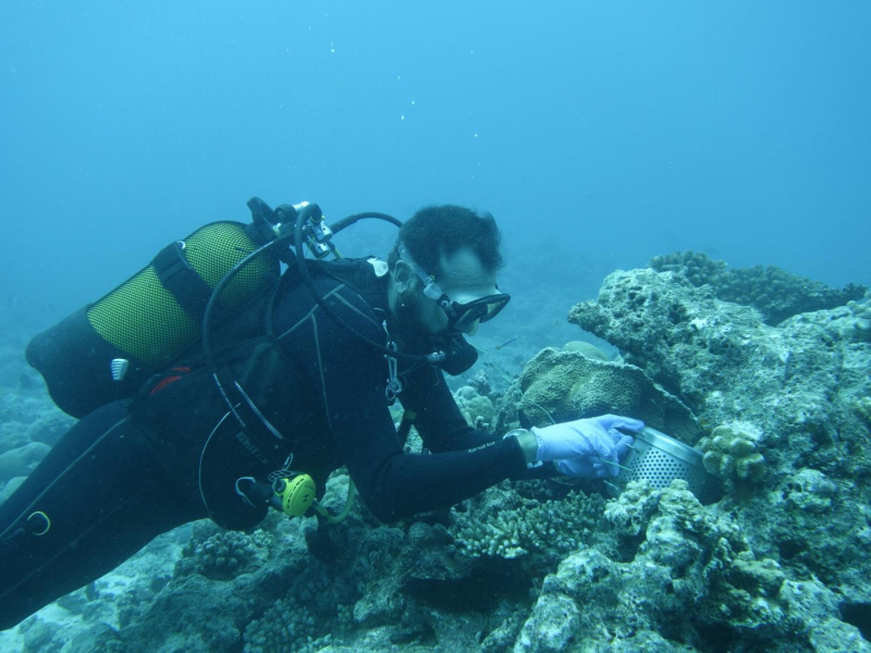 Pose d'un échantilloneur intégratif passif près d'un récif corallien. Crédit photo : Flavien Foncin / OFB