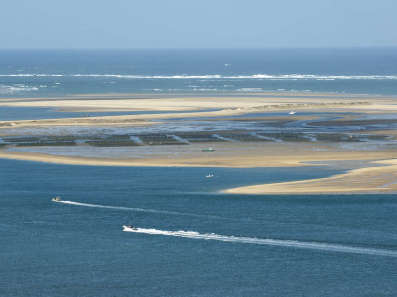 Paysage du Parc naturel marin du Bassin d'Arcachon. Crédit photo : Laurent Mignaux / Terra