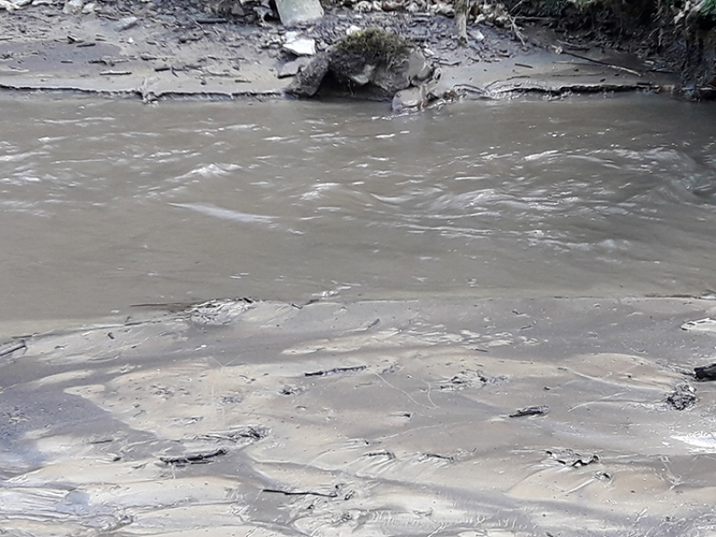 Des matières en suspension dans le lit de la rivière Faux impactent l'ensemble des organismes vivants. Crédit photo : Alain Gérard / OFB