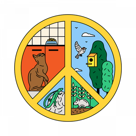 Je ne laisse pas mon chat s’attaquer aux espèces sauvages Je ne laisse pas mon chat s’attaquer aux espèces sauvages