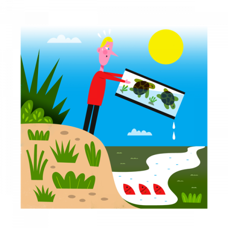 Je ne relâche pas d’espèces exotiques dans la nature Je ne relâche pas d’espèces exotiques dans la nature