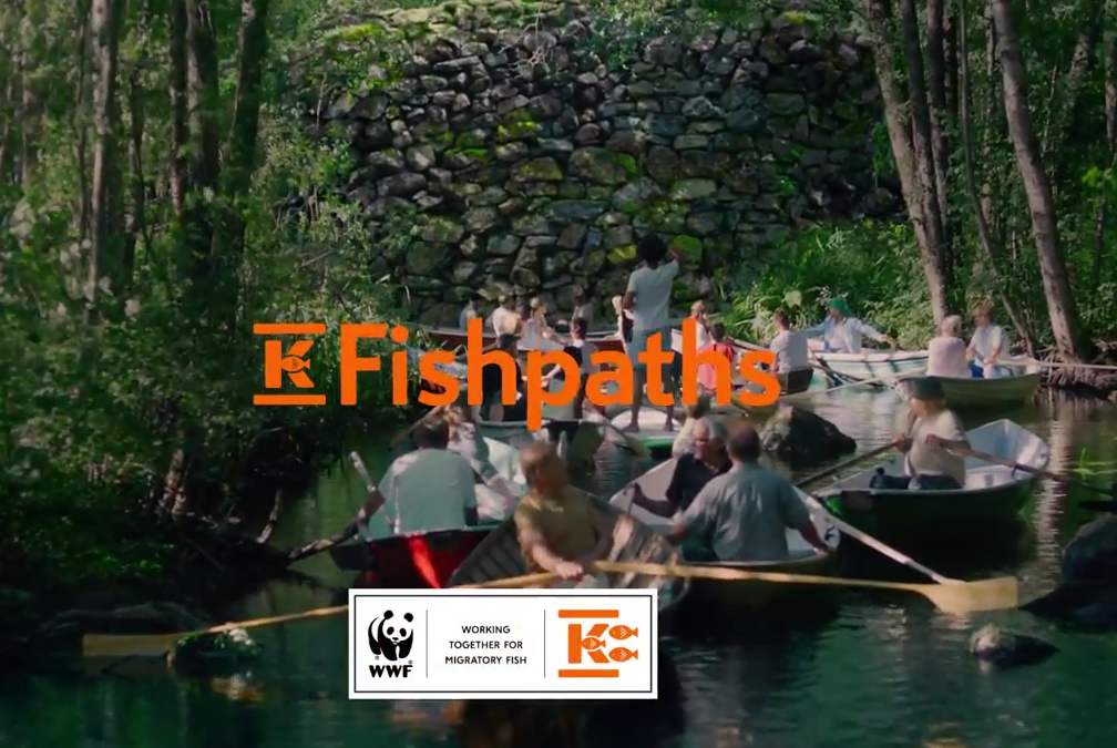 film finlande migrateurs