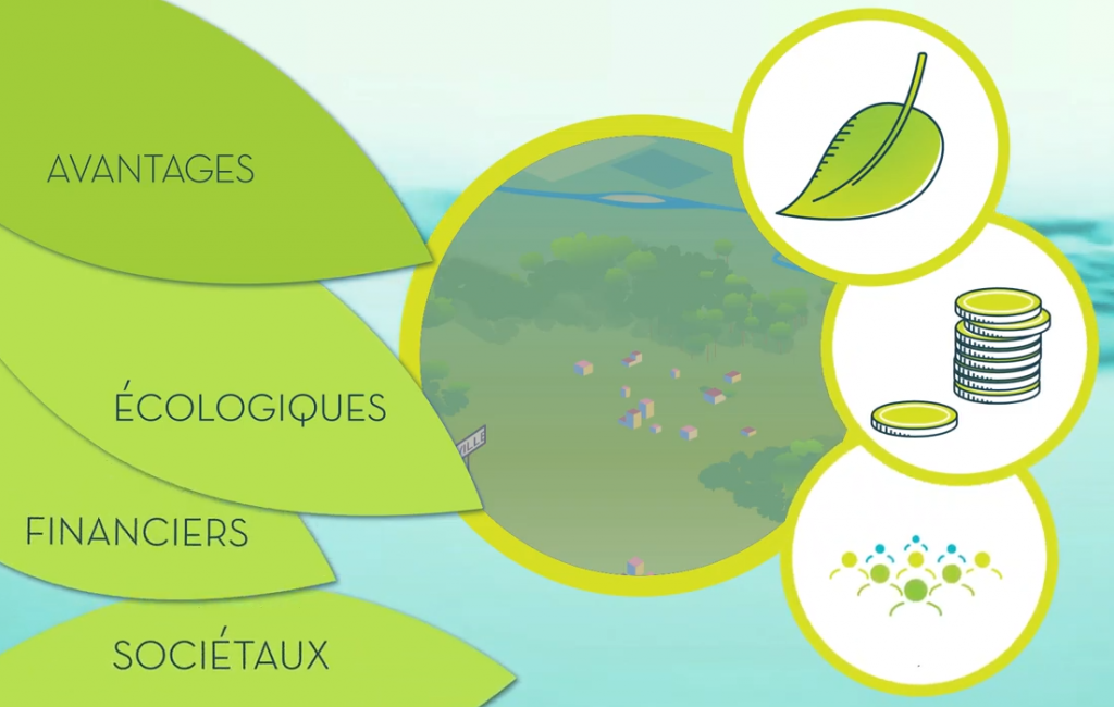 Ing Eco beneficesastee