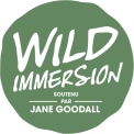 WILD IMMERSION LOGO ENGAGEE