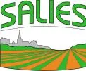 Logo Saliès