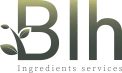 logo BLH