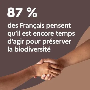 87 % des Français pensent qu'il est encore temps d'agir pour préserver la biodiversité