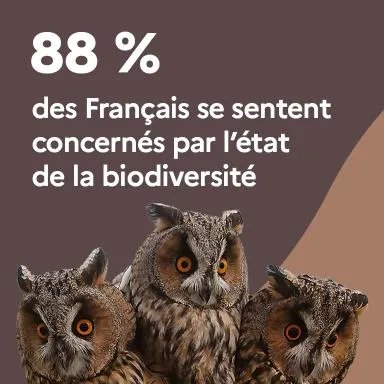 88 % des Français se sentent concernés par l'état de la biodiversité