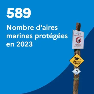 589 : Nombre d'aires marines protégées en 2023
