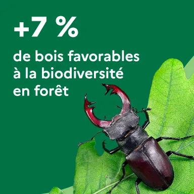 +7 % de bois favorables à la biodiversité en forêt