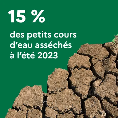 15 % des petits cours d'eau asséchés à l'été 2023