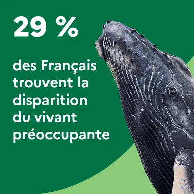 29 % des Français trouvent la disparition du vivant préoccupante