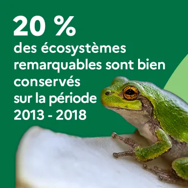 20 % des écosystèmes remarquables sont bien conservés sur la période 2013-2018