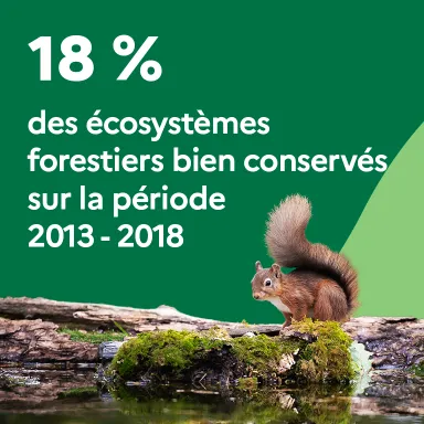 18 % des écosystèmes forestiers bien conservés sur la période 2013-2018